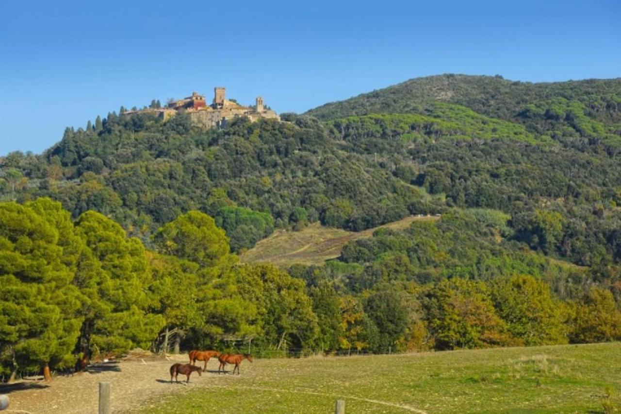 Podere Le Maccagnane 66 Villa Podere Dottrina Exterior foto